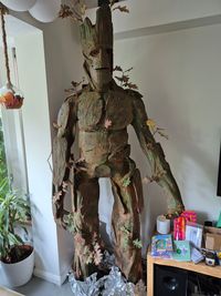 Groot_3